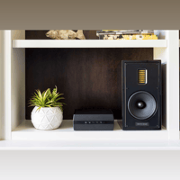 MartinLogan Unison variant 1