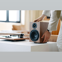 Pro-Ject Audio Systems Speaker Box 5 E variant 2