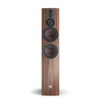 Dali RUBICON 6 variant 1