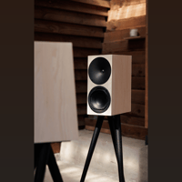 Buchardt Audio Anniversary 10 variant 34
