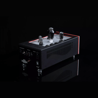 SW1x MPA IV “Aurora” Mono Power Amplifier variant 6