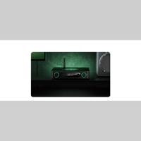 FiiO K13 R2R variant 19
