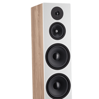 Davis Acoustics KRYPTON 10 variant 14