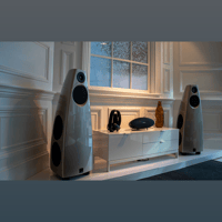 Meridian DSP9 variant 8