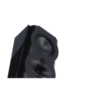 Perlisten R4s variant 2