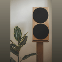 Buchardt Audio Anniversary 10 variant 19