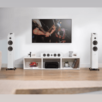 Polk Audio Reserve R900 variant 8