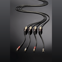 Jorma Audio Statement variant 1