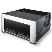 Cayin M-845D variant 3