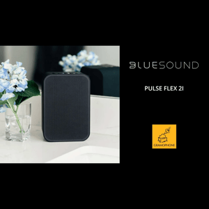 Thumbnail of the video review https://www.youtube.com/watch?v=mSCCxZTZQVc