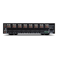 NAD CI 16-60 DSP V2 variant 2