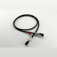 Ikigai Audio Tanoshimi variant 16