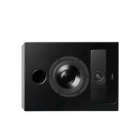 Lyngdorf Audio CS-2 variant 1