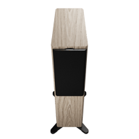 Dynaudio Focus 30 variant 21