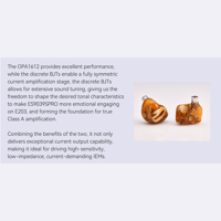 Cayin N6iii variant 19