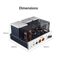 Cayin HA-6A variant 15