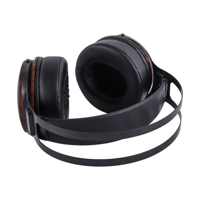 Kiwi Ears Altruva variant 16