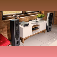 Rega AYA variant 8