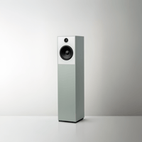 Guru Audio Guru 20 variant 1