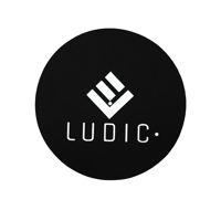 LUDIC Anti-static Logo Felt slipmat Black NOstatic variant 1