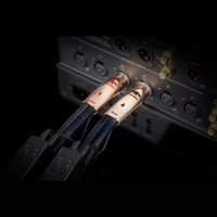 AudioQuest ThunderBird XLR > XLR variant 2