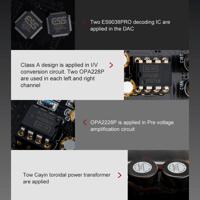 Cayin CS-100DAC variant 7