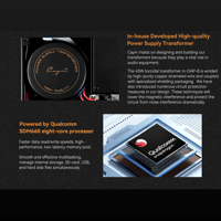 Cayin iDAP-8 variant 12