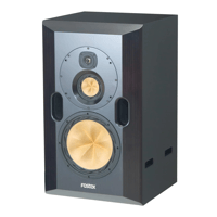 Fostex RS-N2 variant 1