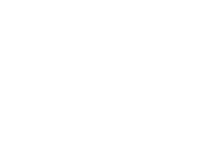 Vintage Hifi Nut logo