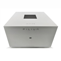 Pilium Audio Poseidon Mono Amplifier variant 1