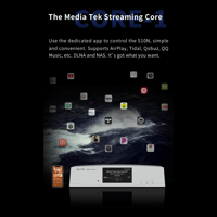 Aune S10N  Network Music Player variant 9