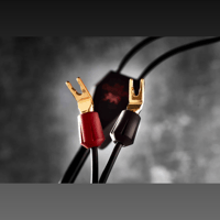 Gryphon Audio Vanta variant 15