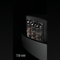 DS Audio TB-100 Tube Phono Equalizer variant 2