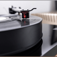 Gold Note tuscany variant 2