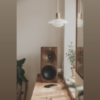 Buchardt Audio E50 variant 10