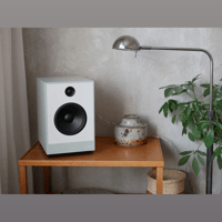 Guru Audio Guru 12 variant 3