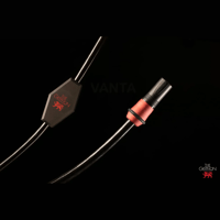 Gryphon Audio Vanta variant 1