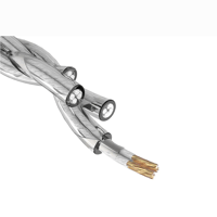 Tanchjim TANCHJIM CABLE R HEADPHONE UPGRADE CABLE variant 4