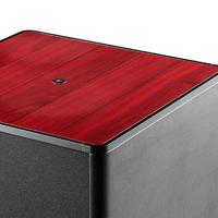 Sonus Faber Gravis V variant 5