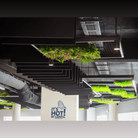 Vicoustic Suspended Baffle PET MKII variant 2