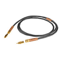 Ansuz Acoustics Digitalz - Copper variant 4