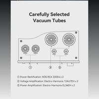 Cayin HA-6A variant 5