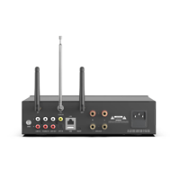 Arylic A100 100W x 2 Power amplifier with FM variant 5