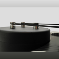 TW-Acustic Raven AC variant 11