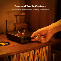 Fosi Audio Fosi Audio P3 Tube Preamplifier variant 4