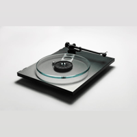 Rega Planar 3 RS variant 6