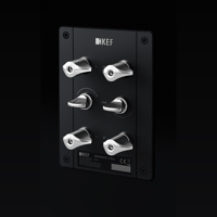 KEF Reference 5 Meta variant 15