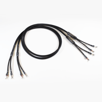 VooDoo Cable Renaissance XRS Speaker Cable variant 3