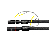 Tara Labs RSC® Air Evolution variant 1