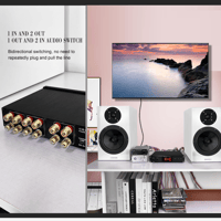 FX Audio PW-6 variant 3